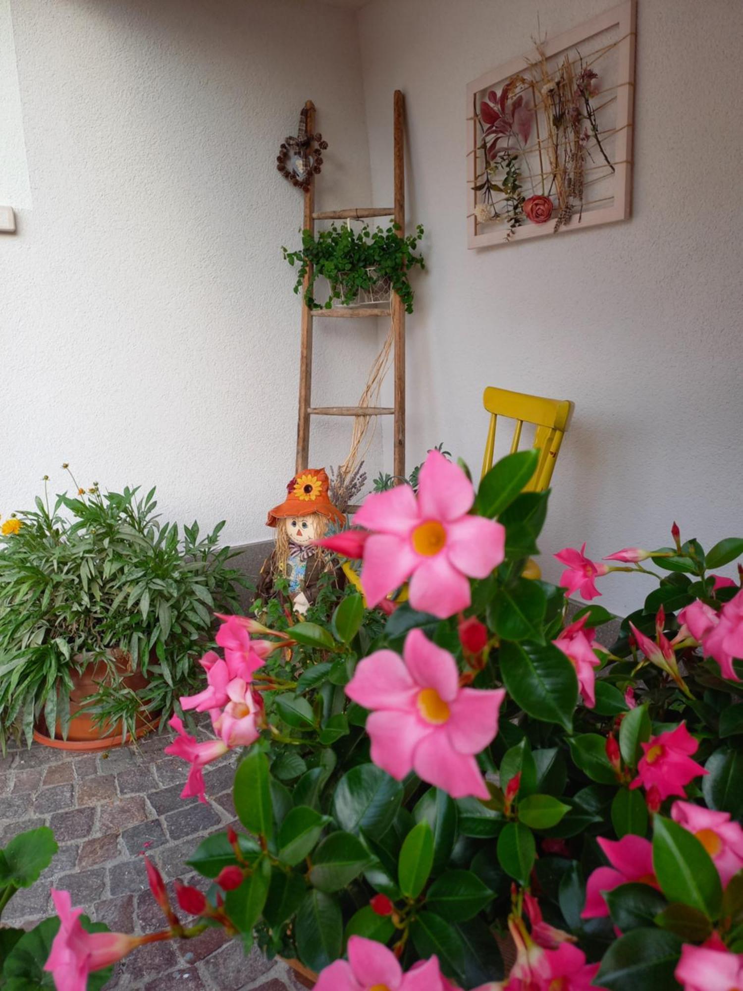 Casa Vacanze Paola Romeno Buitenkant foto